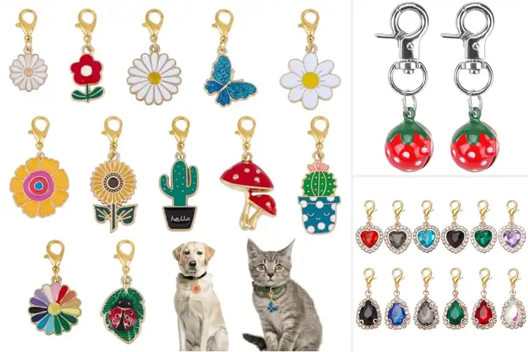 Detailed view of Best Pet Collar Charms