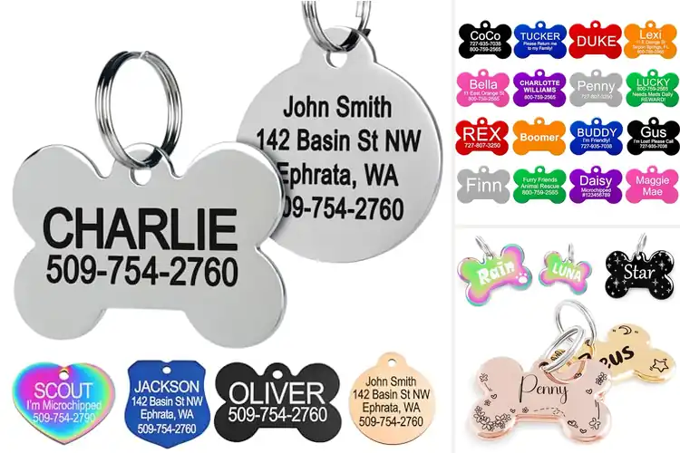 Detailed view of Best Pet ID Tags: Keep Your Pet Safe