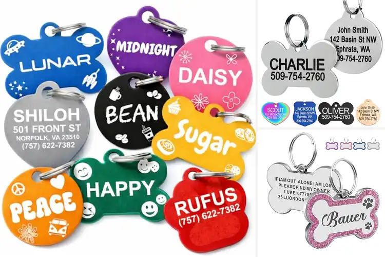 Detailed view of Best Pet Identification Accessories