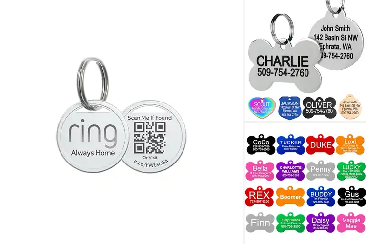 Detailed view of Best Pet Identification Tags for Pet Safety
