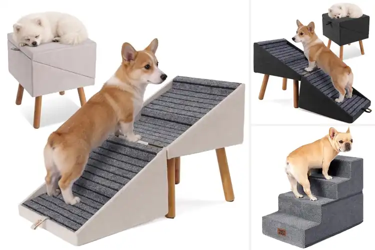 Detailed view of Best Pet Stairs For Injured Pets