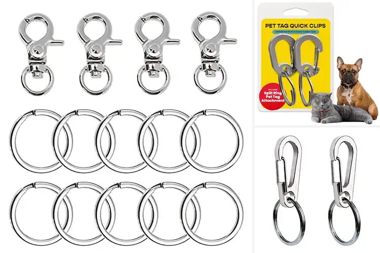 Detailed view of Best Pet Tag Accessories: Top Picks for Safe, Stylish Pets