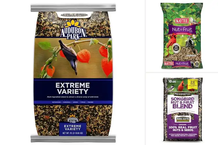 Detailed view of Best Premium Bird Foods: Top 10 Blends for a Vibrant Yard