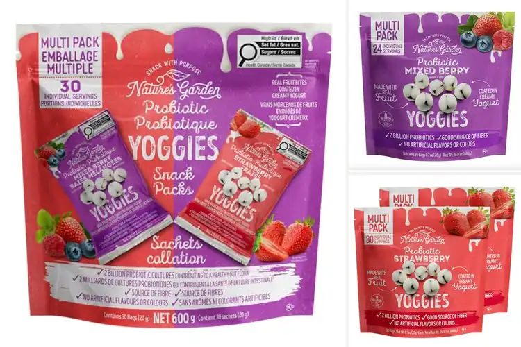 Detailed view of Best Probiotic Yogurt Snacks