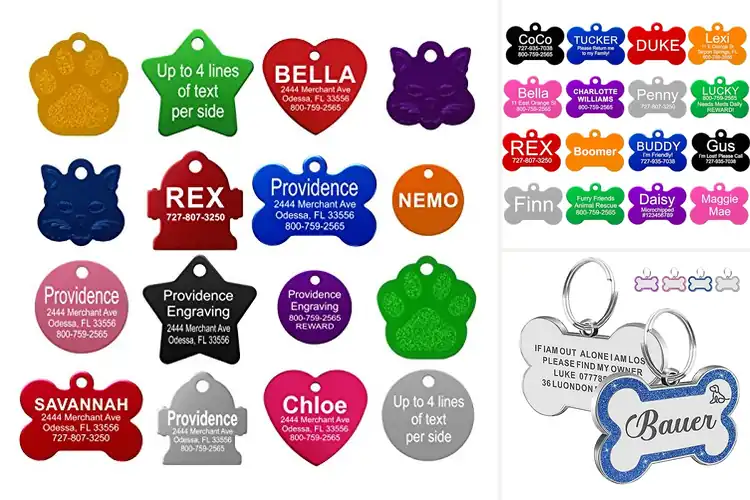 Detailed view of Best Readable Engraved Pet Tags