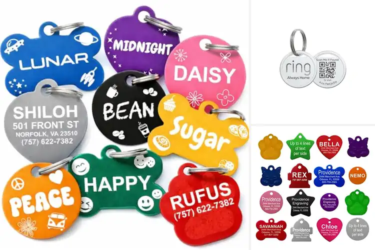 Detailed view of Best Readable Pet Tags