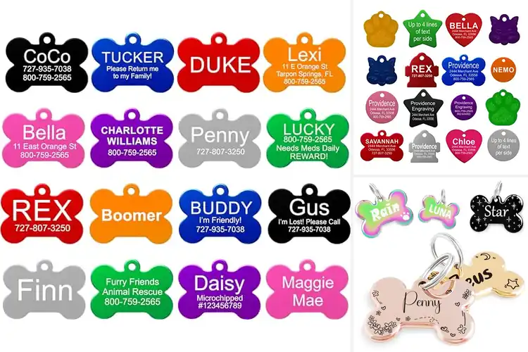 Detailed view of Best Size For Pets Tag: Perfect Fit Guide for Style & Safety