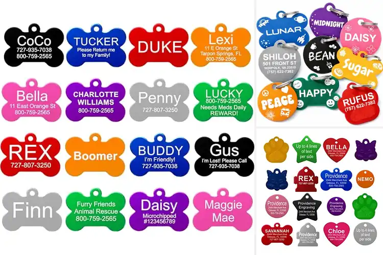 Detailed view of Best Size For Pets Tags: Your Guide to Safety & Comfort