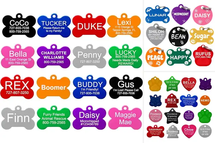Detailed view of Best Size Pet Tags