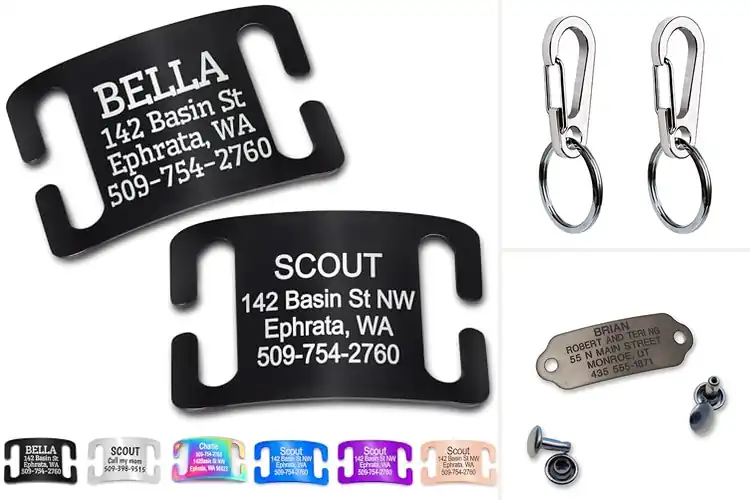 Detailed view of Best Size To Fit Pets Tags