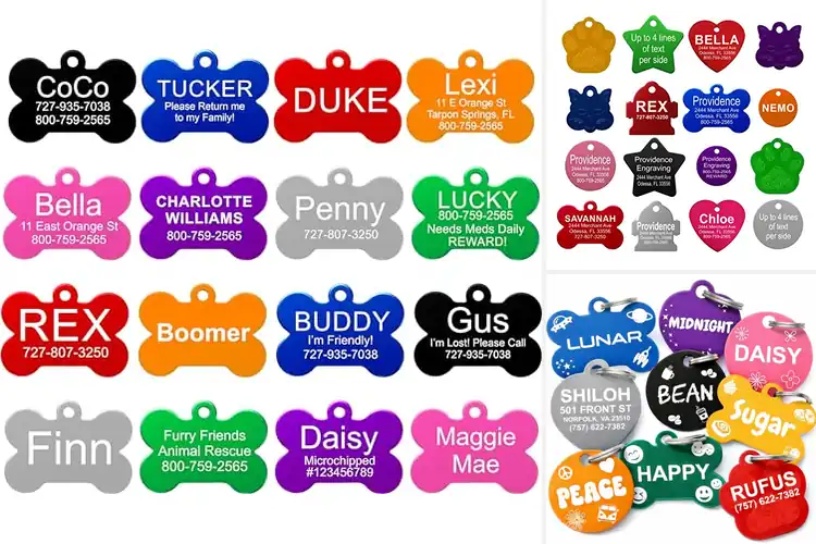 Detailed view of Best Sized Pet Tags: Top 10 Picks for Comfort & Safety