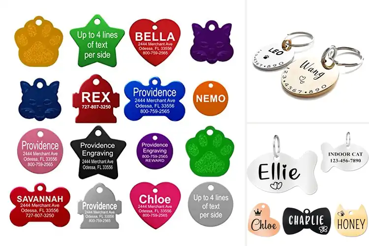 Detailed view of Best Small Cat ID Tags