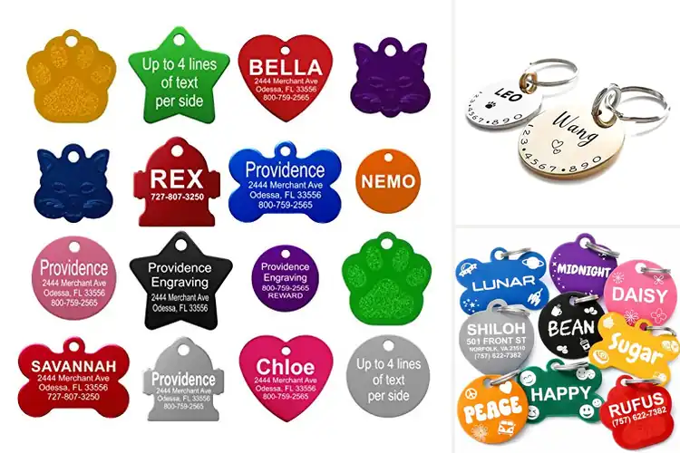 Detailed view of Best Small Pet Tags