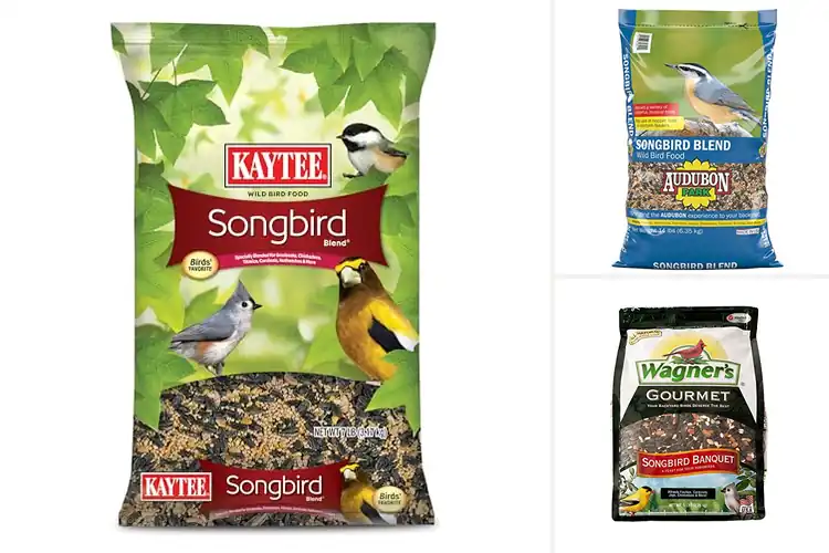 Detailed view of Best Songbird Foods: Attract Vibrant Birds to Your Backyard