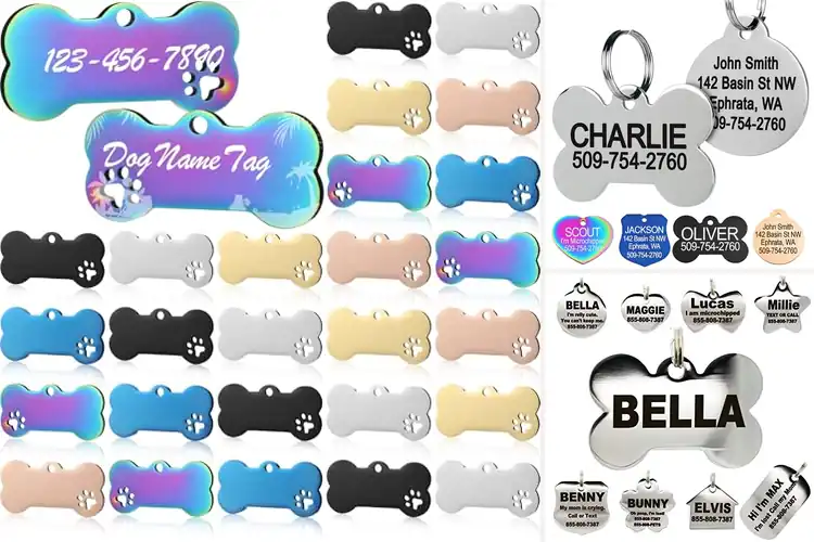 Detailed view of Best Stainless Steel Pet ID Tags