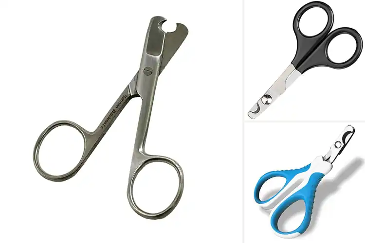 Detailed view of Best Stainless Steel Pet Nail Scissors