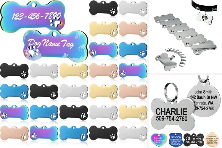 Detailed view of Best Stainless Steel Pet Tags