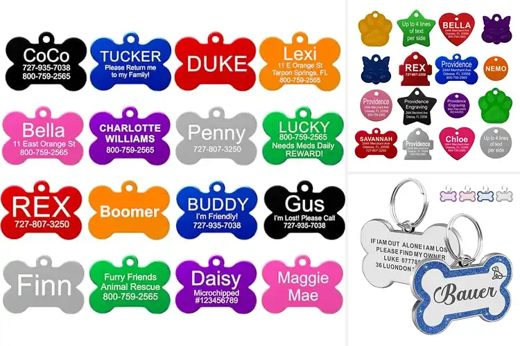 Detailed view of Best Value Engraved Pet Tags